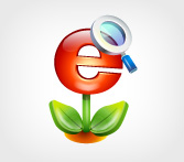 Organic SEO India