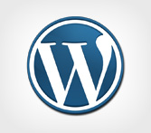 Wordpress Development & Customization India