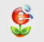 SEO & Internet Marketing